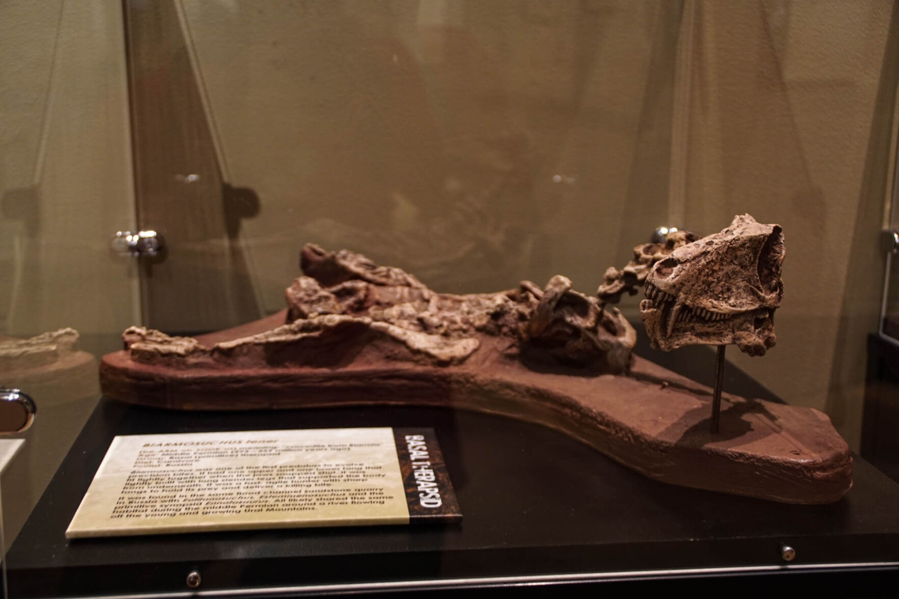 Fossil
